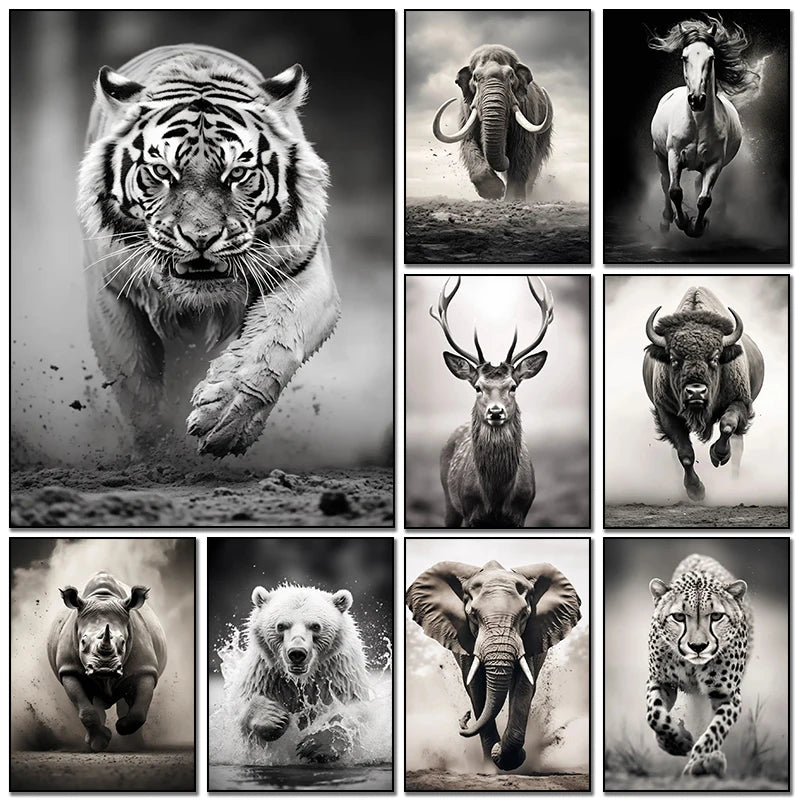 Black and White Animal Wall Art